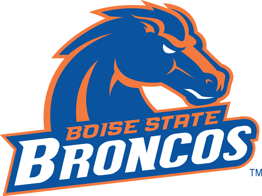 Boise State Broncos 2002-2012 Alternate Logo DIY iron on transfer (heat transfer)